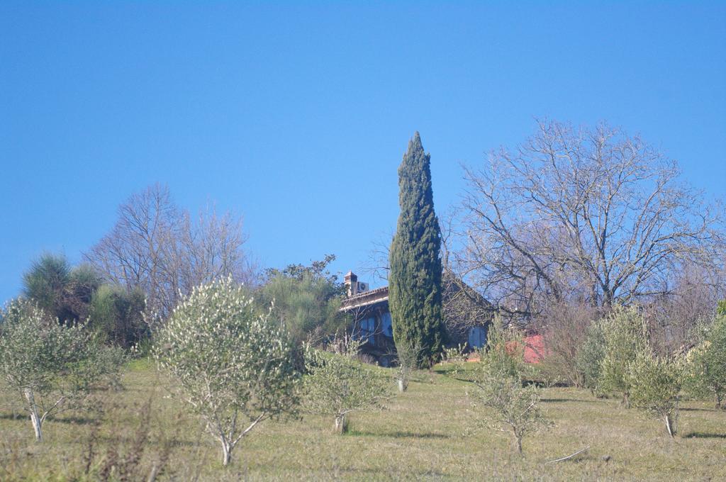 La Casa Sopra Le Nuvole Medesano Exterior foto