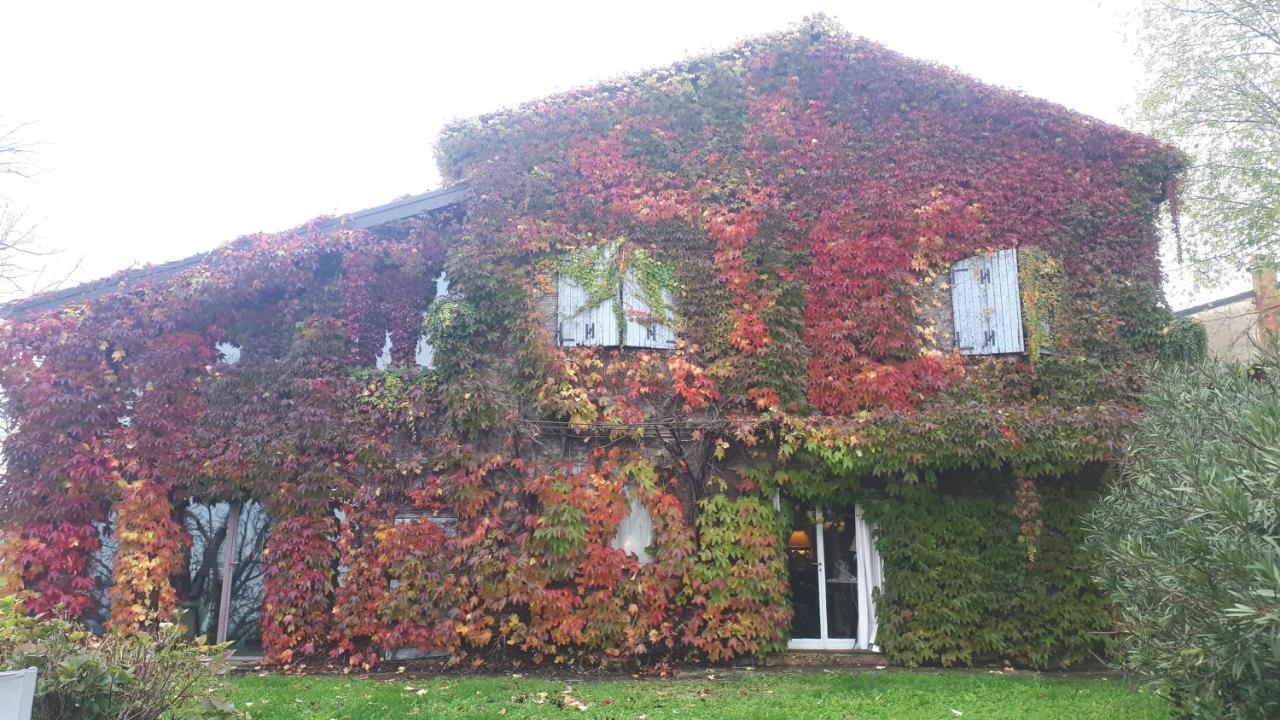 La Casa Sopra Le Nuvole Medesano Exterior foto